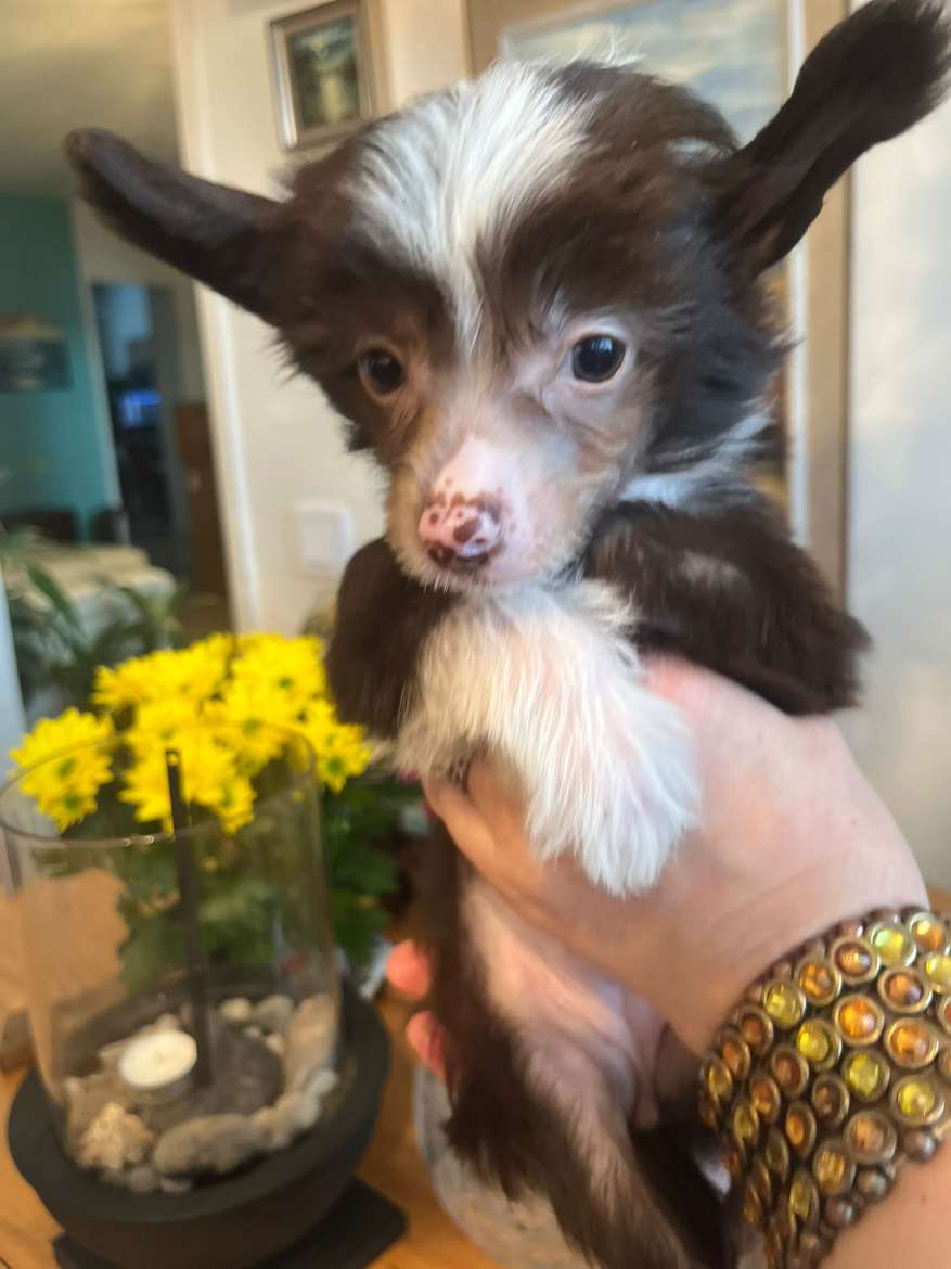 Dina, 27.04.26