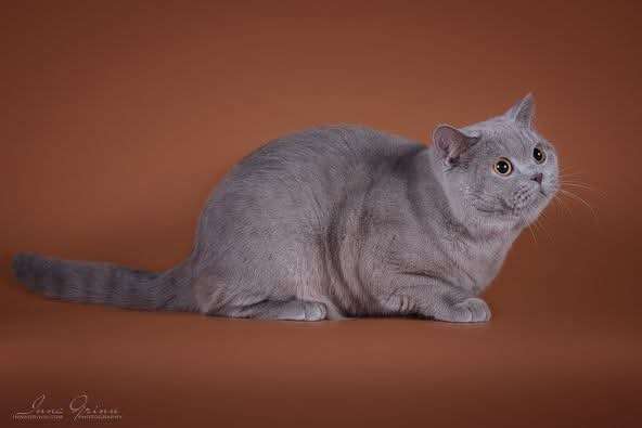 7f2ed7b9-7b72-4cc8-9fc4-9c1de3cafea3.jpg