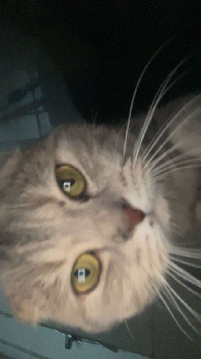 82f9c8c6-6388-49f6-9af8-336580e68d2a.jpeg