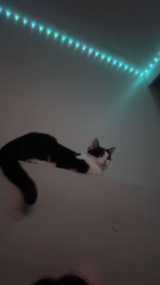 f8aaa79d-daa1-4225-b78f-99200b2e07ac.jpeg